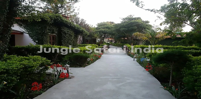 Corbett Roop Resort